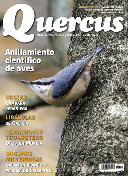 Quercus 354