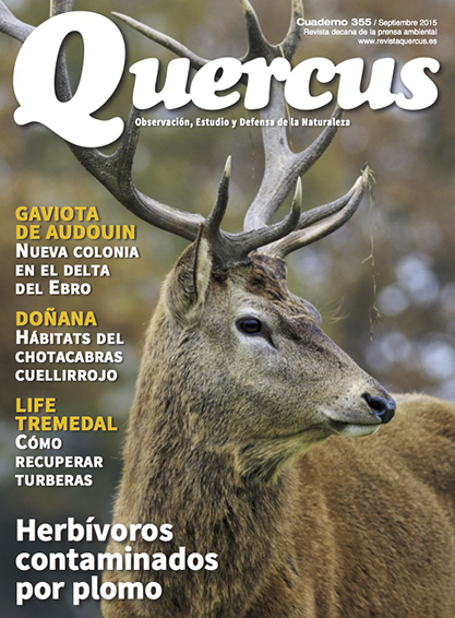 Click para ampliar Quercus 355