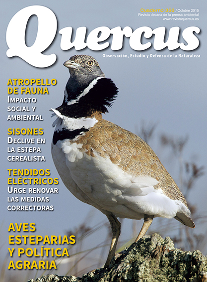 Quercus 356