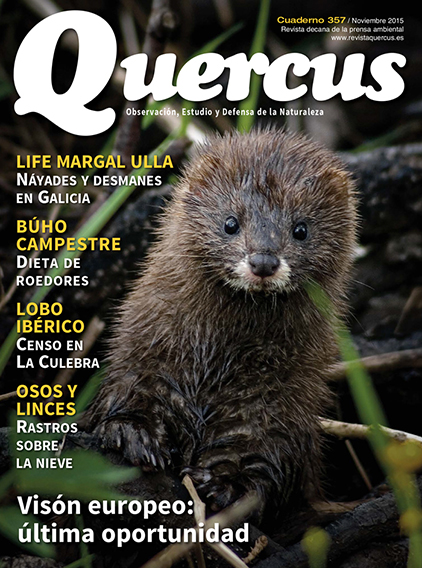 Quercus 357