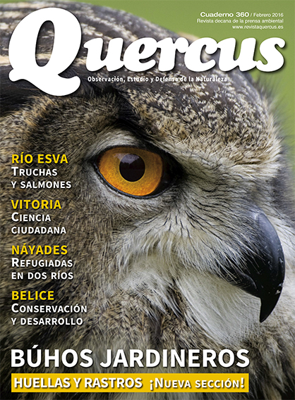 Click para ampliar Quercus 360