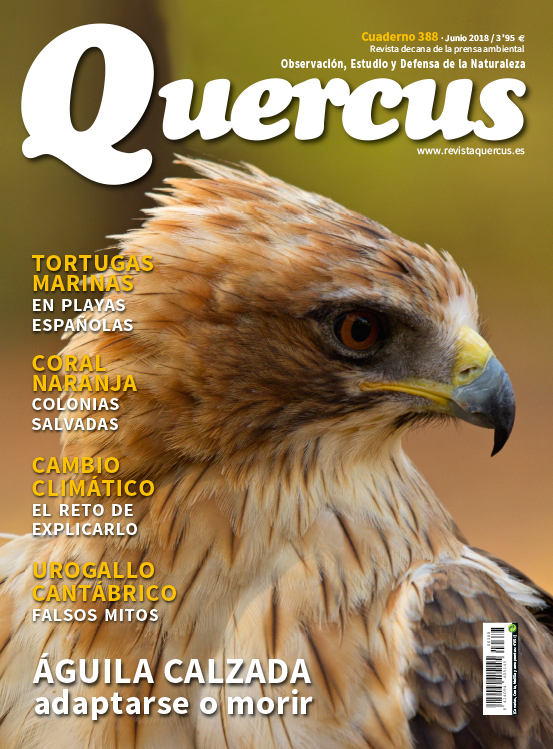 Quercus 388