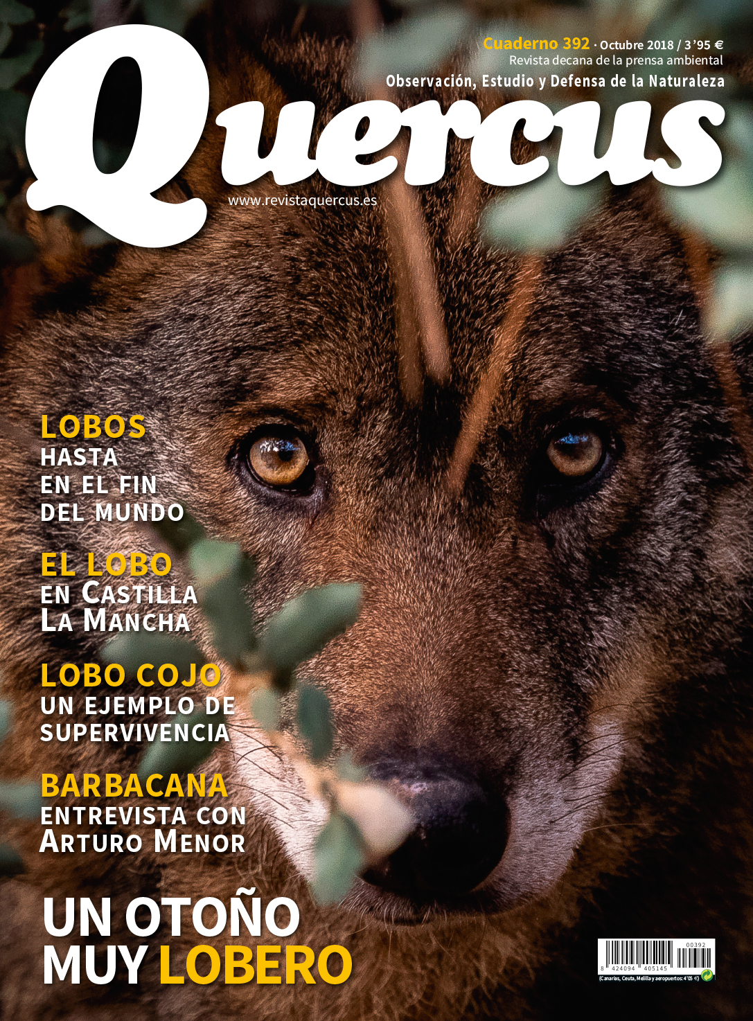 Quercus 392
