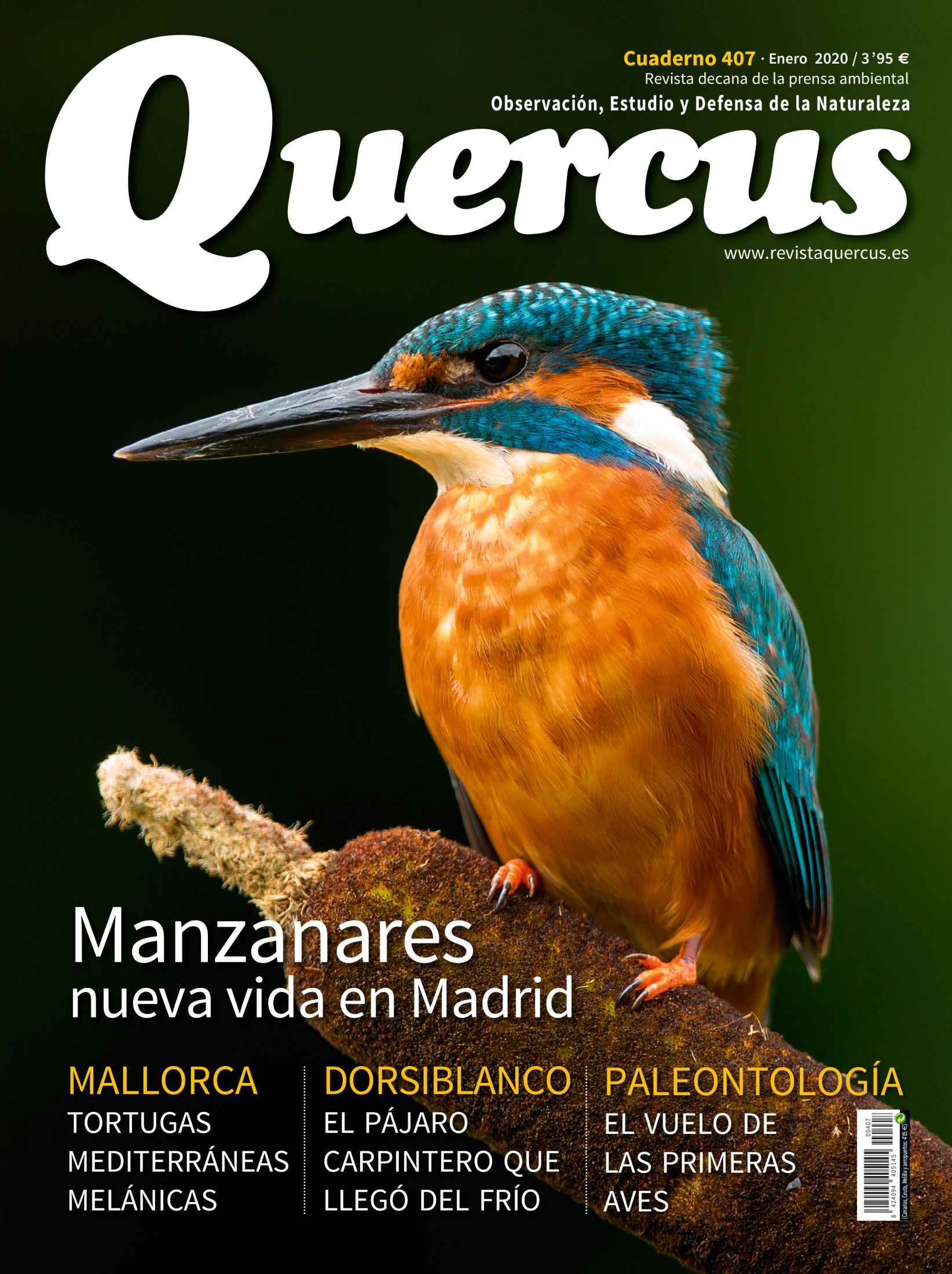 Quercus 407