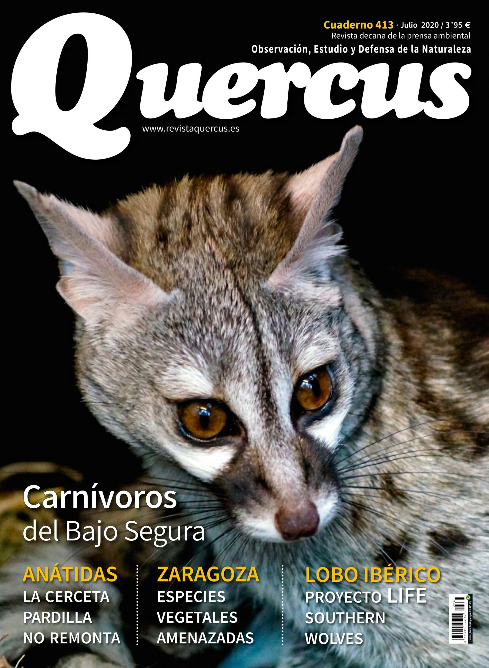 Quercus 413