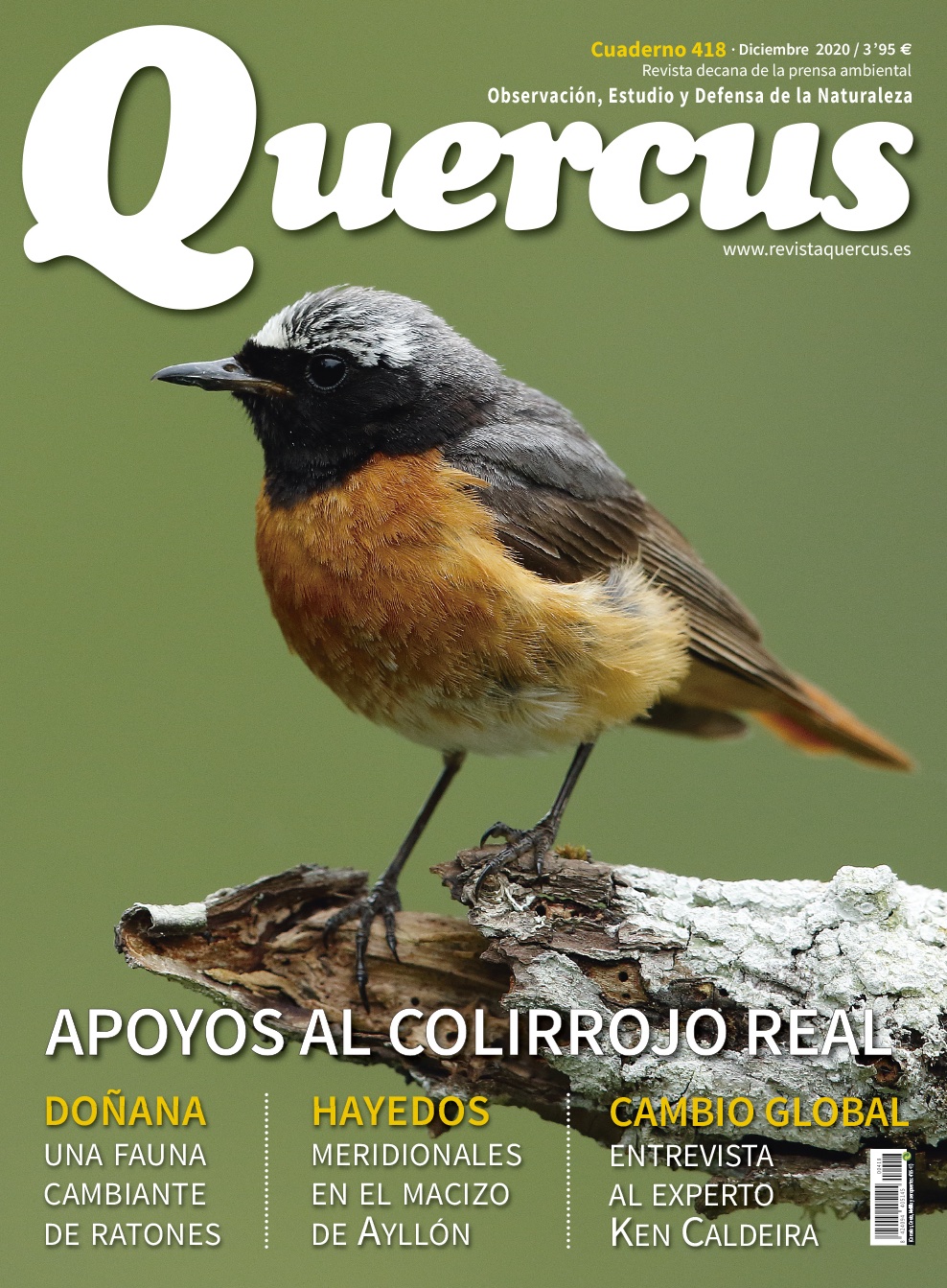 Quercus 418