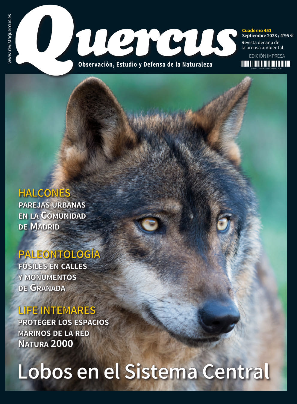 Click para ampliar Quercus 451