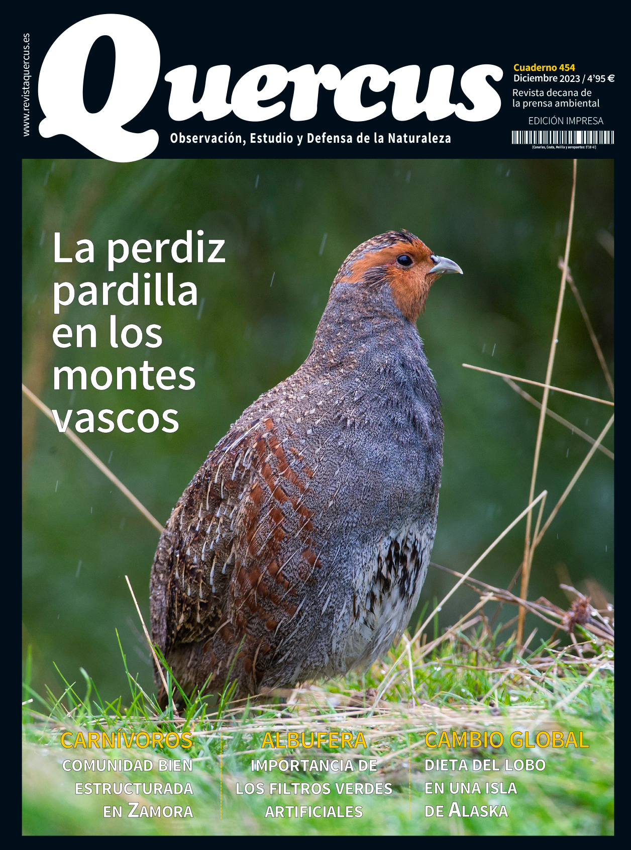 Click para ampliar Quercus 454