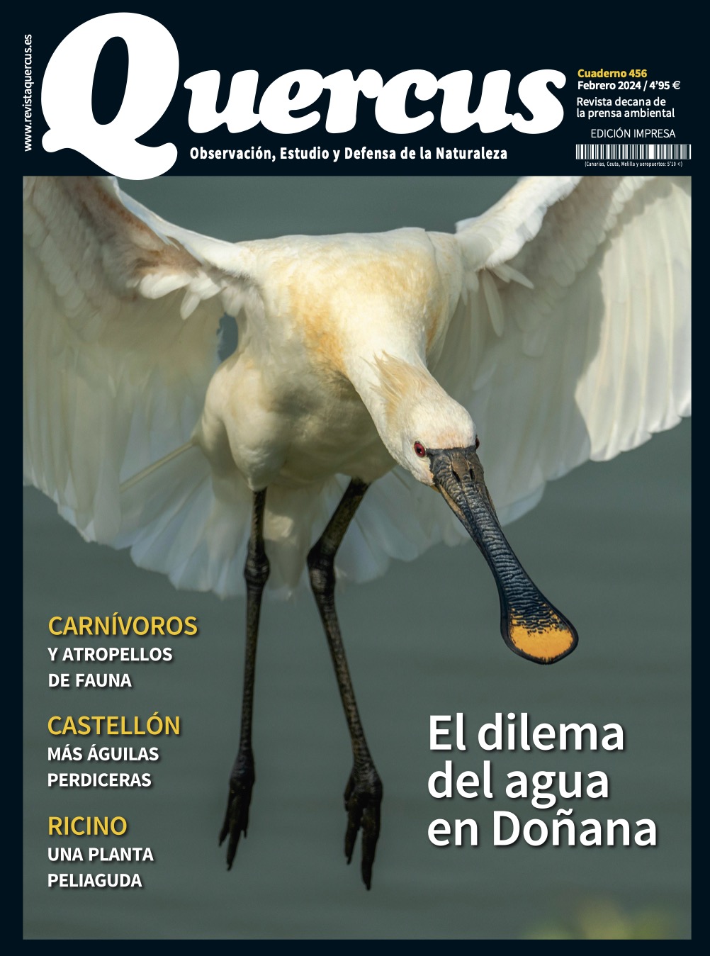 Click para ampliar Quercus 456