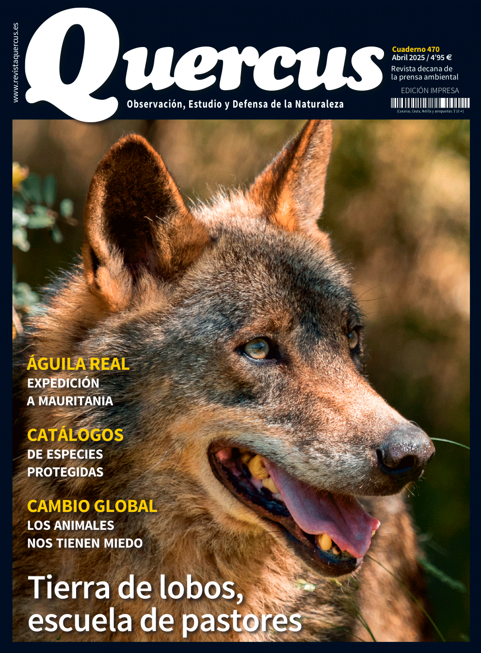 Click para ampliar Quercus 470