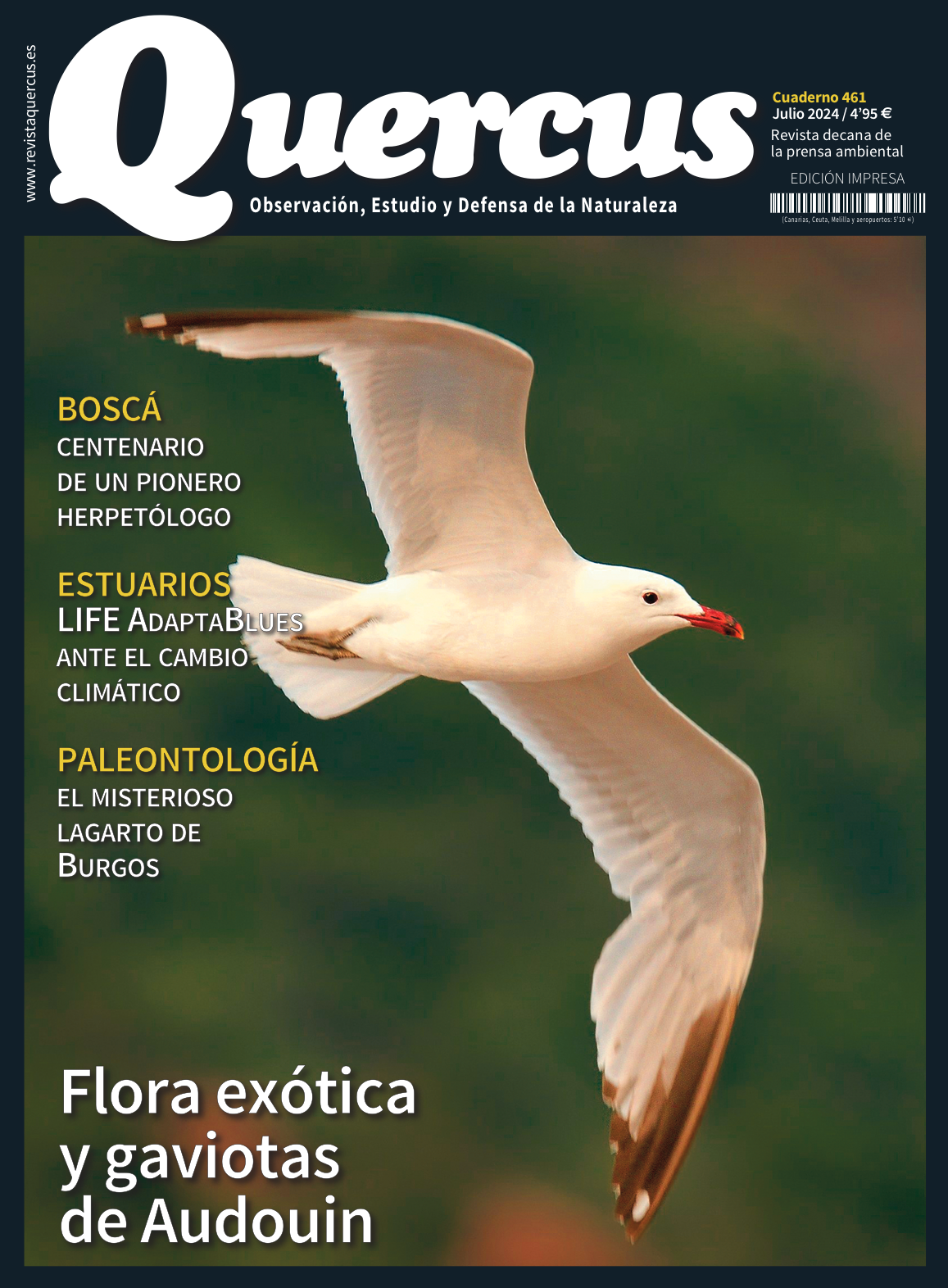 Click para ampliar Quercus 461