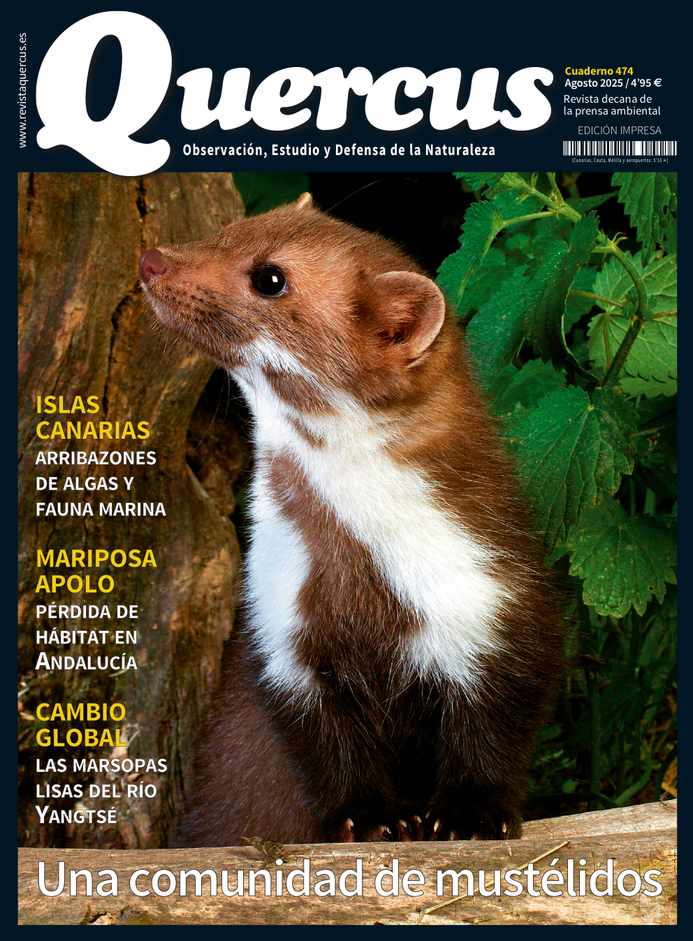 Click para ampliar Quercus 474