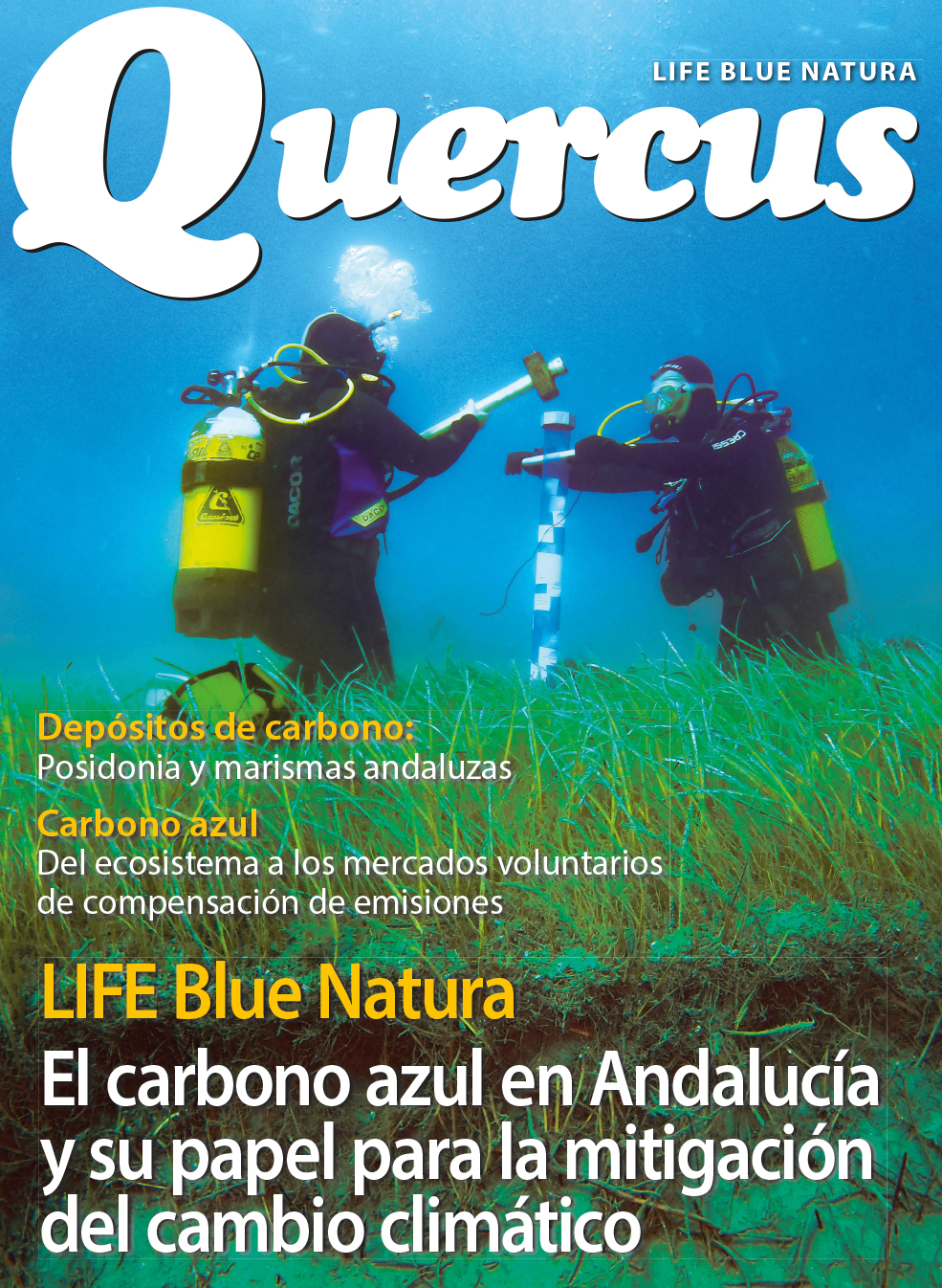 Especial Blue Natura