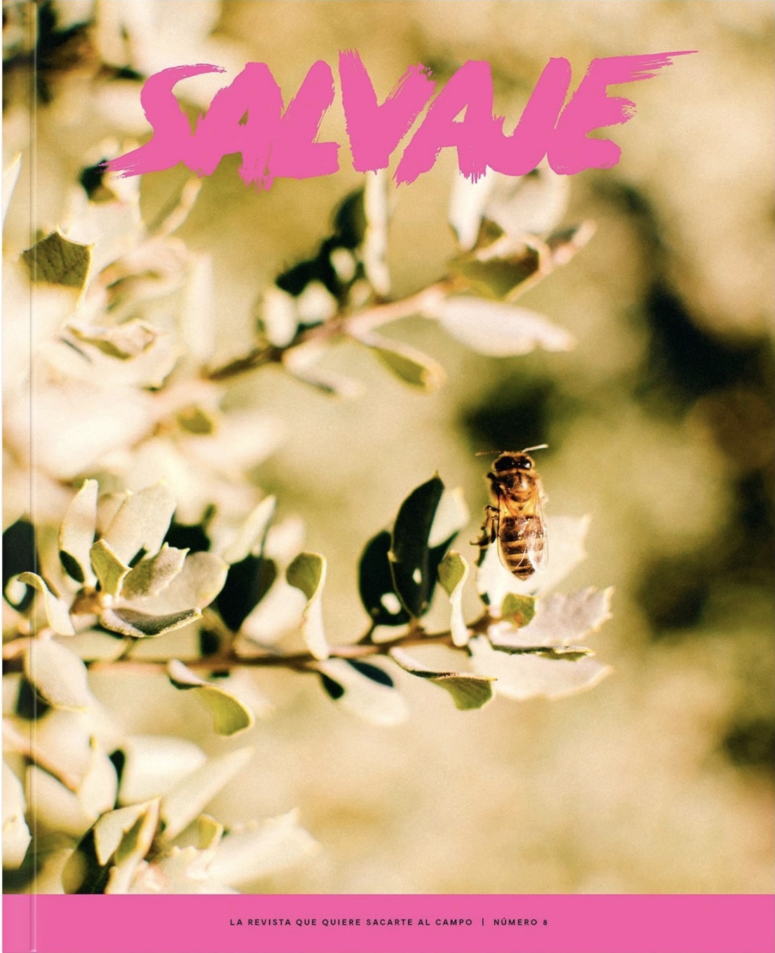 Click para ampliar Salvaje 8