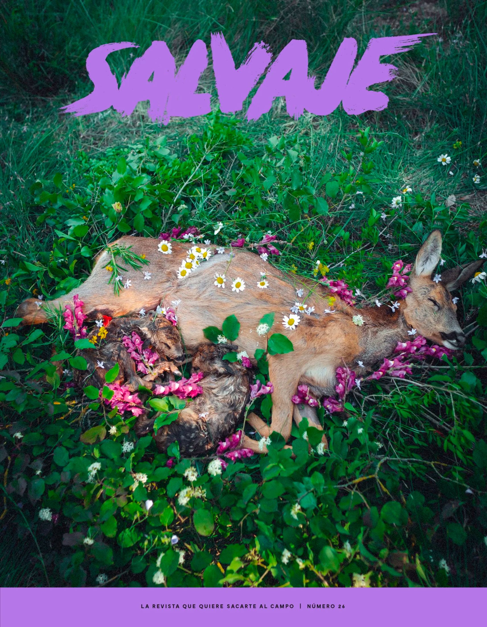 Salvaje 26
