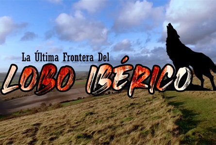 La última frontera del lobo ibérico