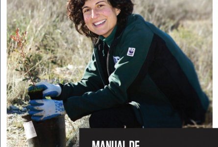Cómo podemos ayudar a la restauración del bosque