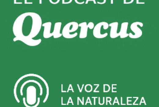 El Podcast de Quercus 481: Tras la pista de las semillas viajeras