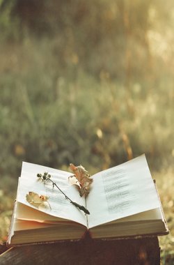 Reseñados en Quercus