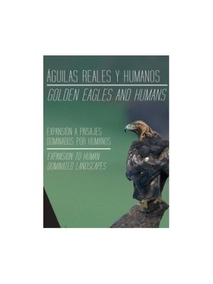 Águilas reales y humanos