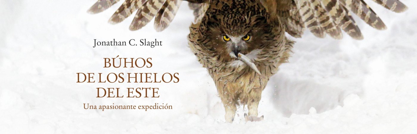 En busca del esquivo búho manchú