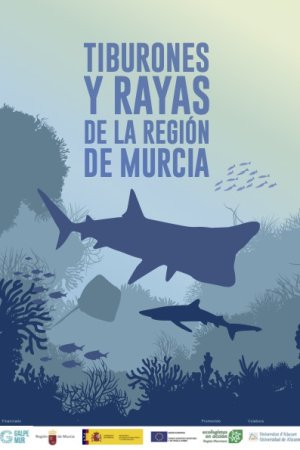 Tiburones y Rayas de la Región de Murcia