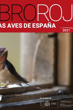 El libro Rojo de las aves de España