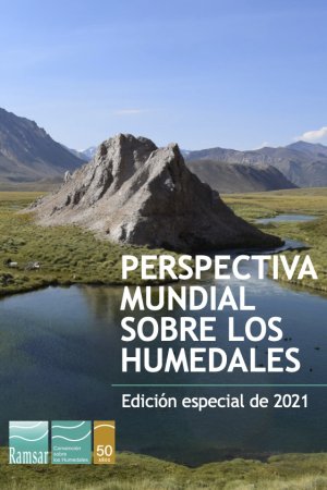 Perspectiva mundial sobre los humedales