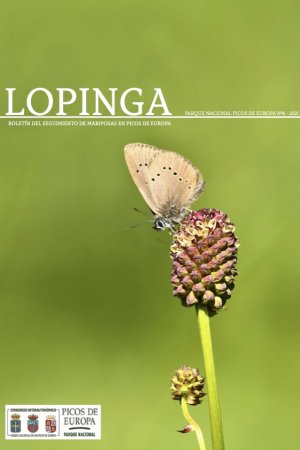 Lopinga