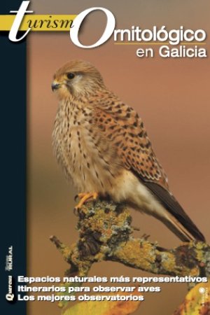 Turimo Ornitológico en Galicia