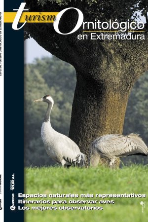 Turismo Ornitológico - Extremadura