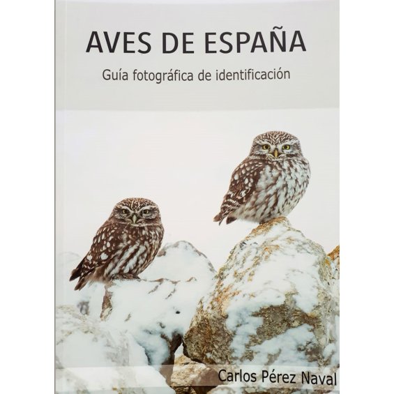 sagrado Llave Monasterio Aves de España