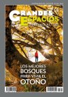 Los mejores bosques para vivir el otoño