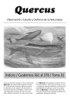Índice Tomo 31