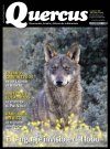 Quercus 485
