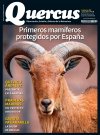 Quercus 484