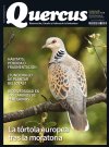 Quercus 488