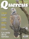 Quercus 378