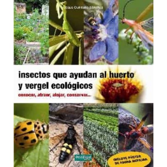 Insectos que ayudan al huerto y vergel ecológicos