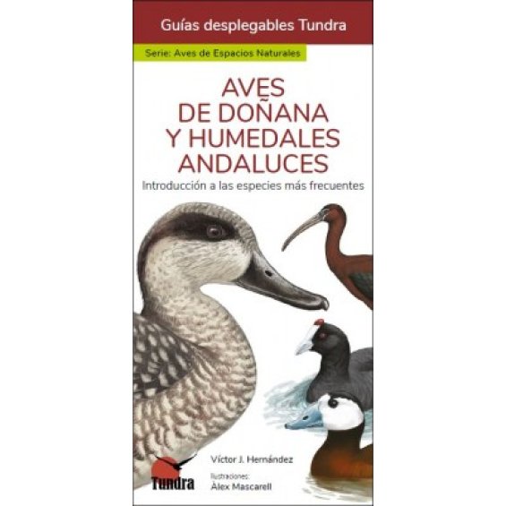 Aves de Doñana y humedales andaluces