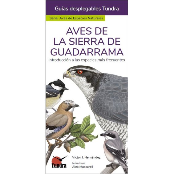 Aves de la Sierra de Guadarrama