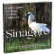 Sinagote, biografía de una espátula