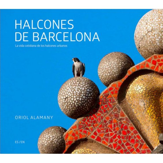 Halcones de Barcelona