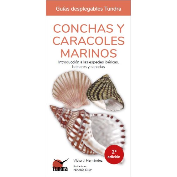 Conchas y caracoles marinos. Introducción a las especies ibéricas, baleares y canarias