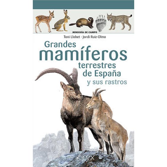 Grandes mamíferos terrestres de España y sus rastros