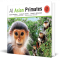 All asian primates