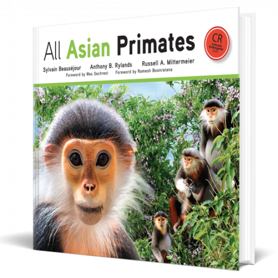 All asian primates
