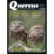 Quercus 432