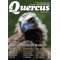 Quercus 429