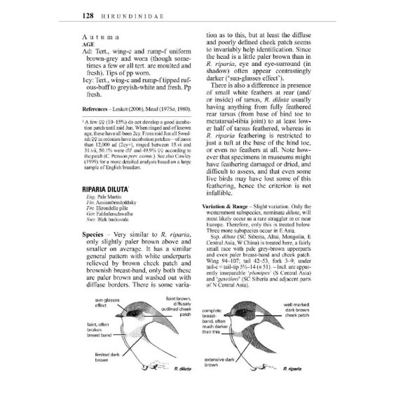 Identification guide to european passerines